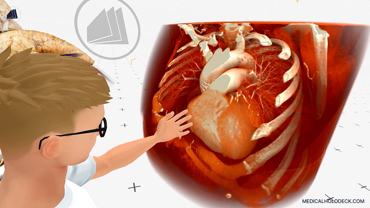 An instructor explaining a three-dimensional heart model inside Medicalholodeck