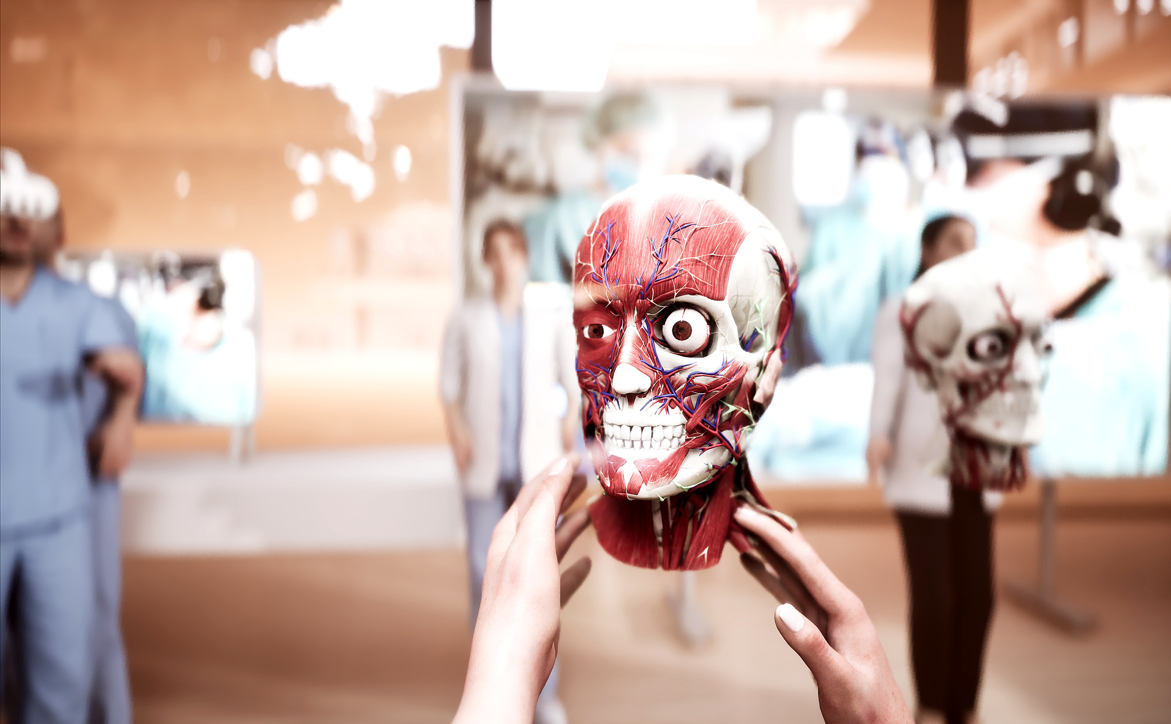 Anatomy Master