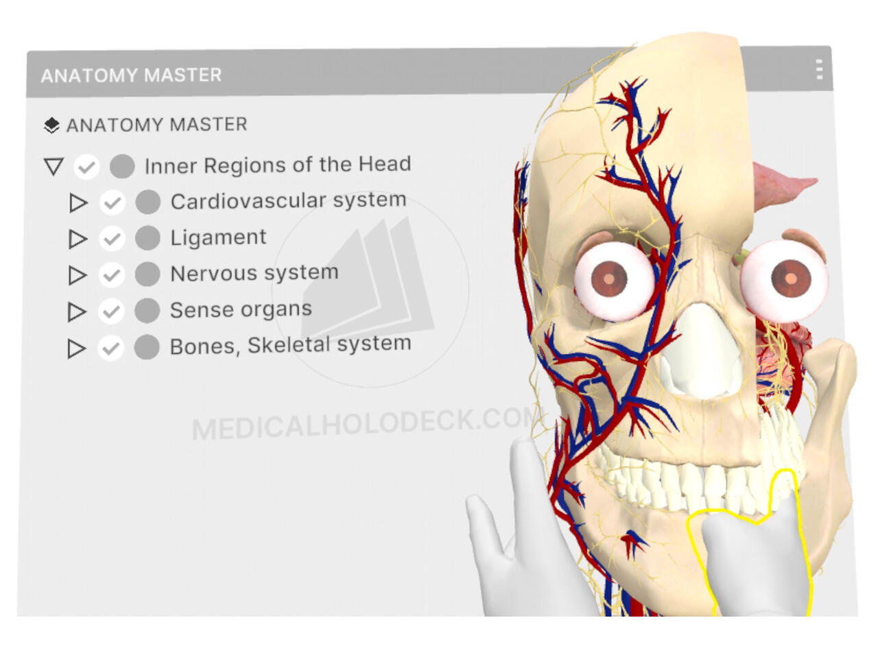 Manual-Image