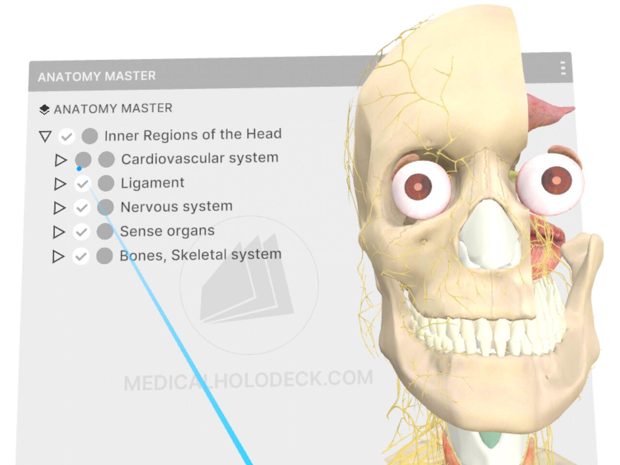 Manual-Image