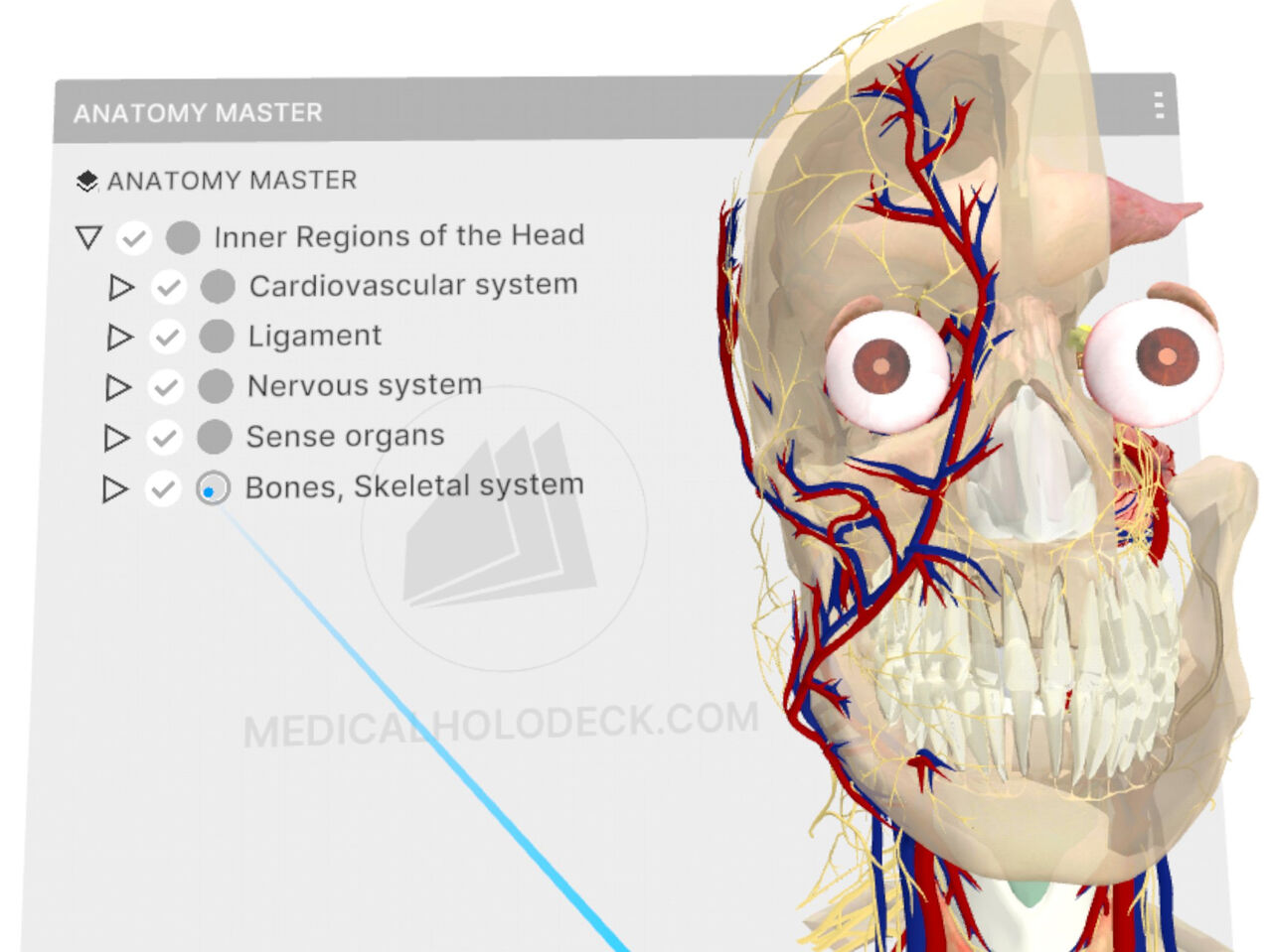 Manual-Image
