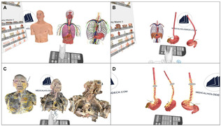 Applications of VR in medical education