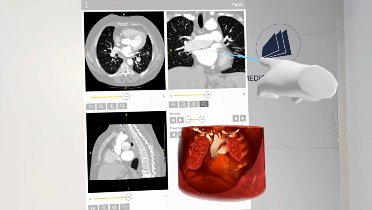 解剖学 51k6Fx4MP5L._AC_UF350,