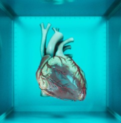 新着情報：9月アップデート