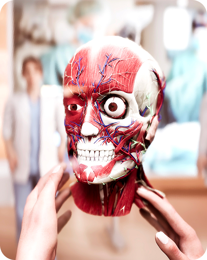 <a href="/vi/human-anatomy-atlas-anatomy-master-2/" class="site-page-link">Anatomy Master</a>