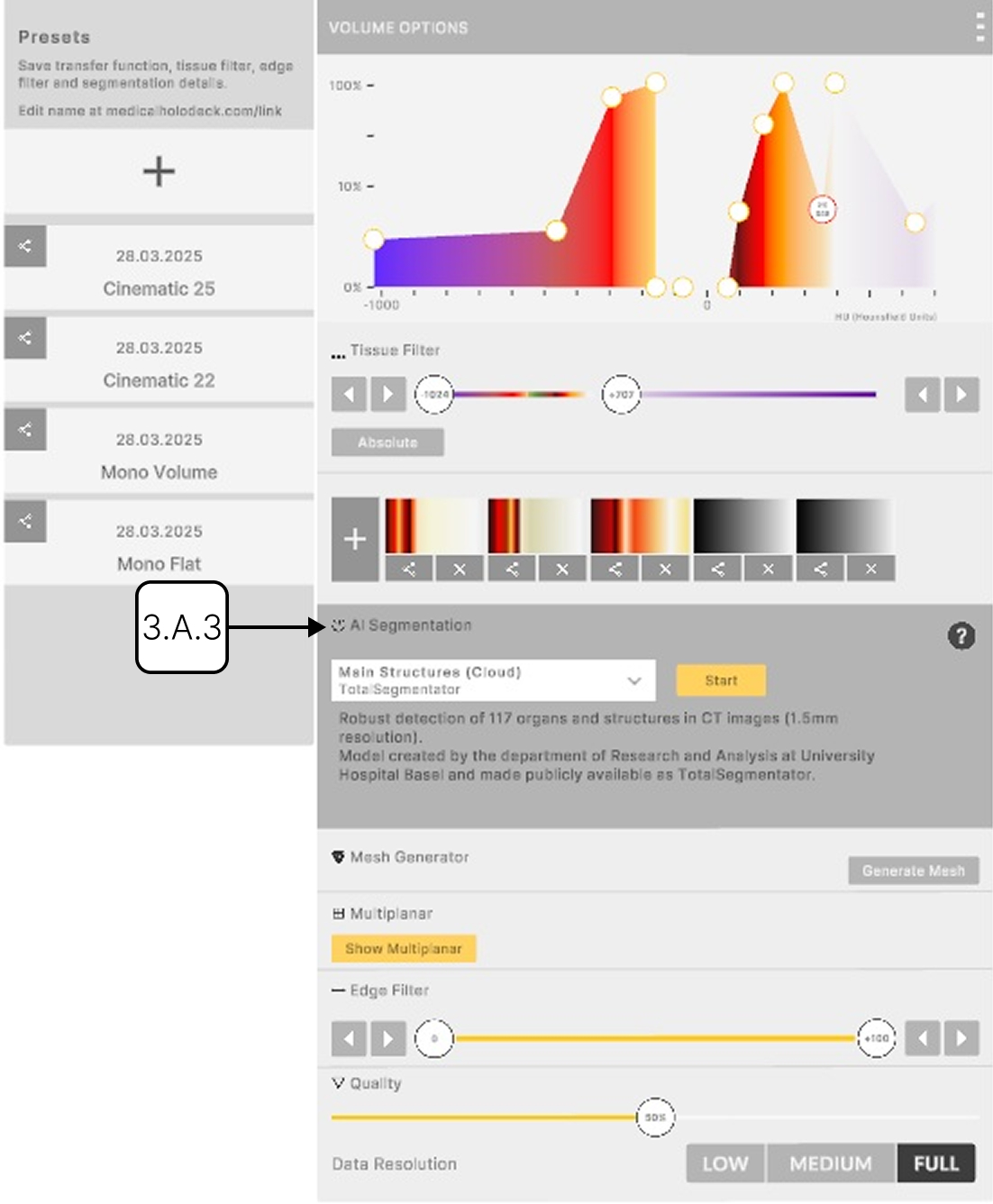 Running AI segmentation