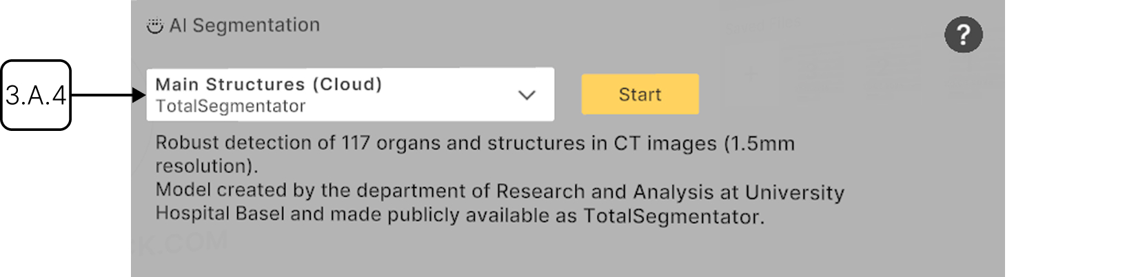 Running AI segmentation