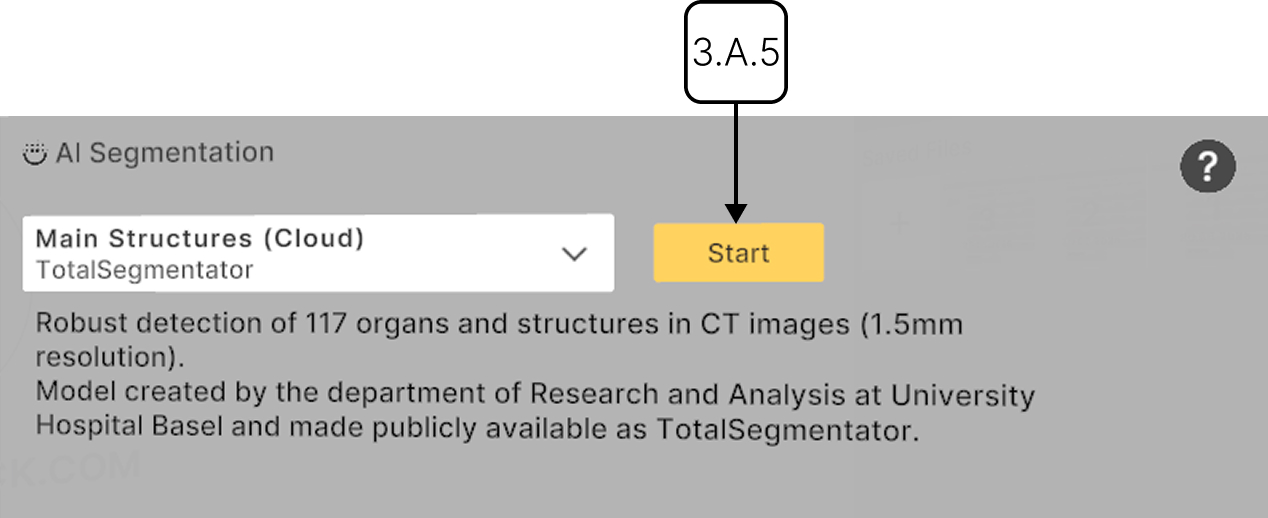 Running AI segmentation