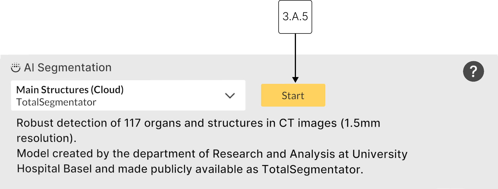 Running AI segmentation