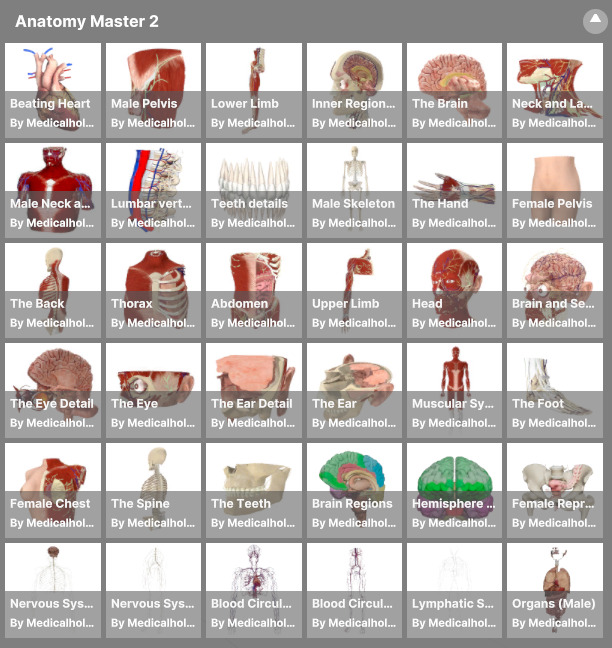 Anatomy Master