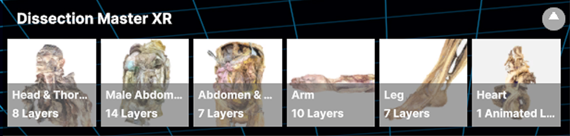 Dissection Master