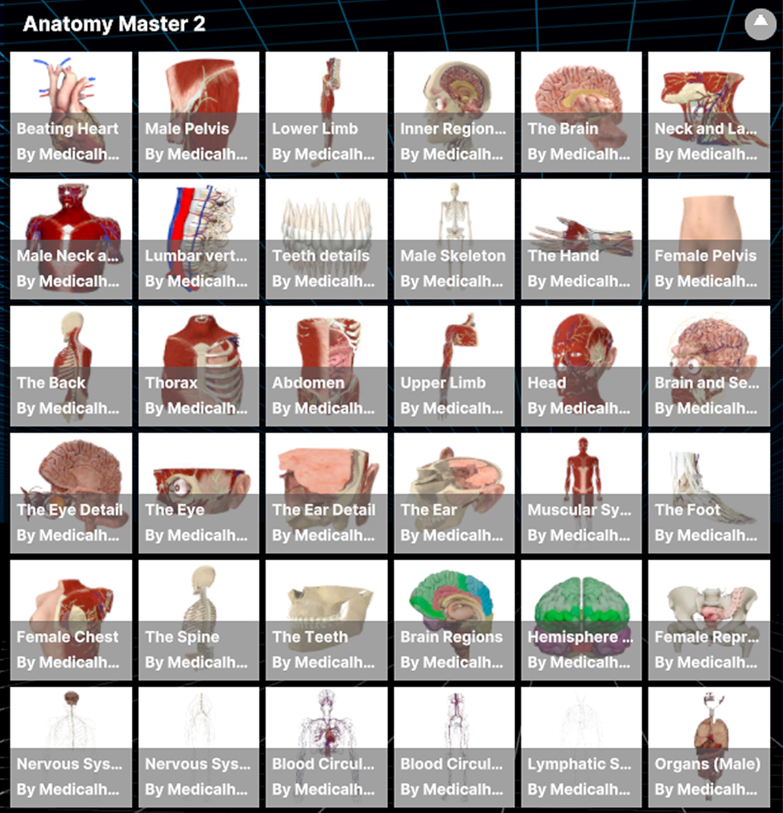 Anatomy Master
