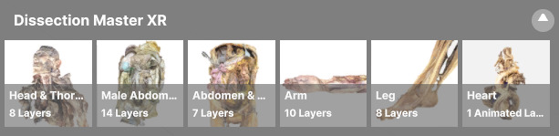 Dissection Master