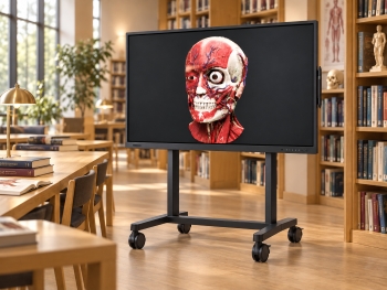 显示 3D 解剖模型的大型交互式显示屏