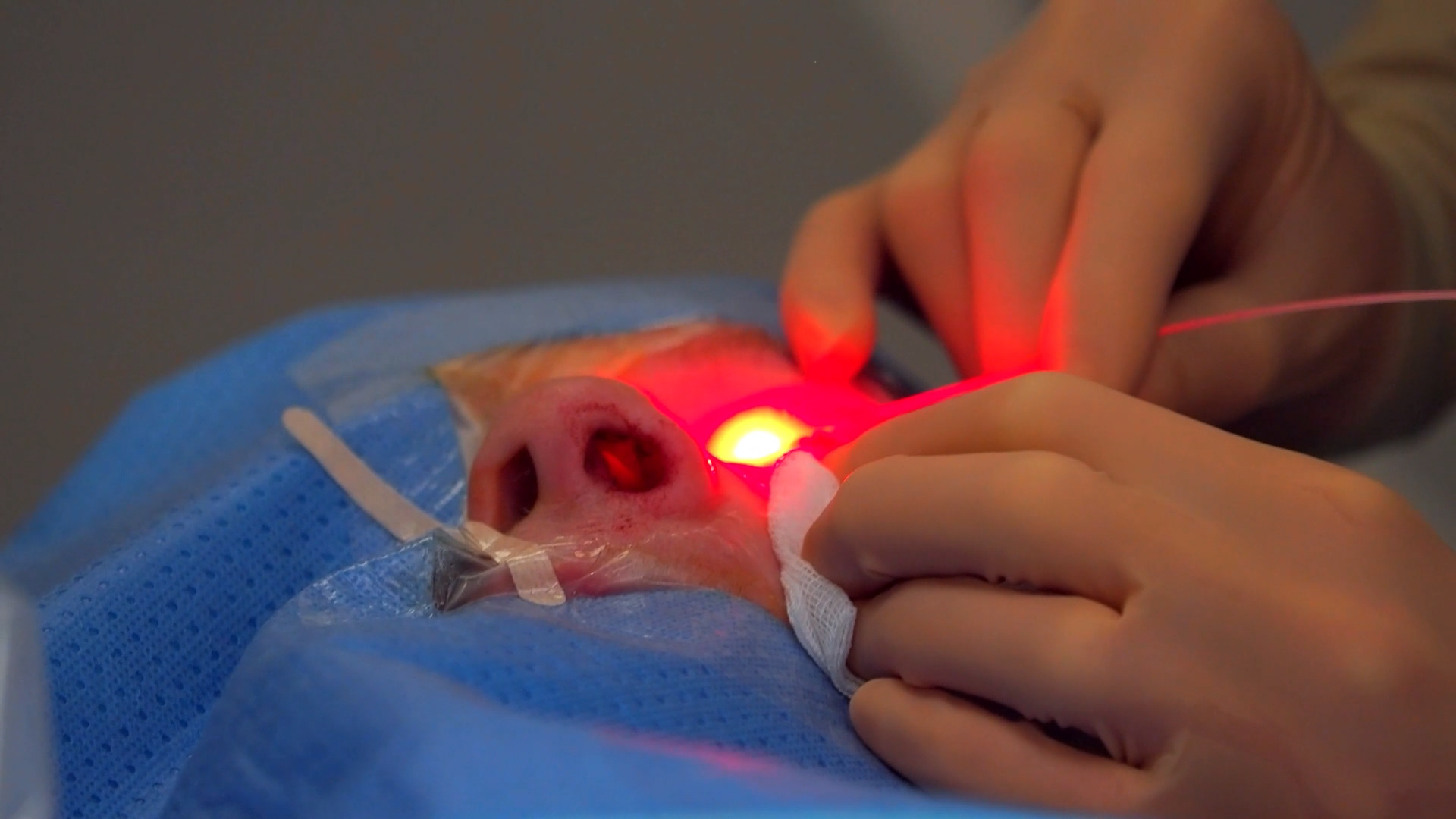 Imaging medico visualizzato in un ambiente immersivo Medicalholodeck